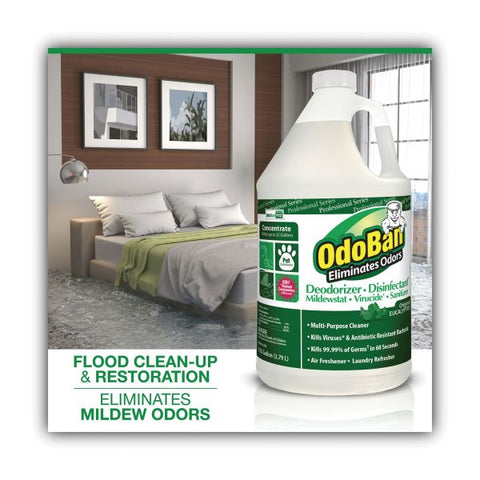 OdoBan Concentrated Odor Eliminator, Eucalyptus, 1gal Bottle, 4/Carton