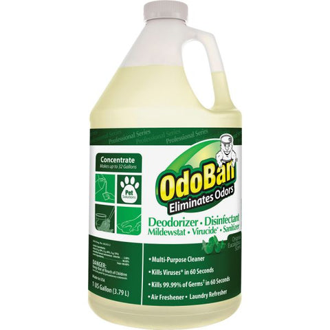 OdoBan Concentrated Odor Eliminator, Eucalyptus, 1gal Bottle, 4/Carton