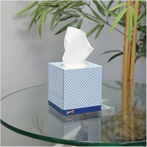 Genuine Joe 2-Ply Facial Tissues 85 Tissues/ Box - 36 Boxes/ Carton - 2-Ply - White Tissues