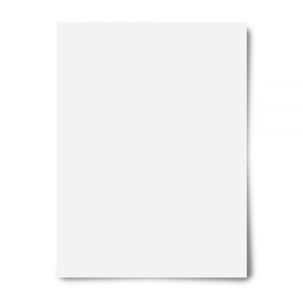 Poster Board, 22" x 28", White, Pack Of 10