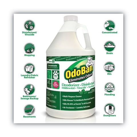 OdoBan Concentrated Odor Eliminator, Eucalyptus, 1gal Bottle, 4/Carton