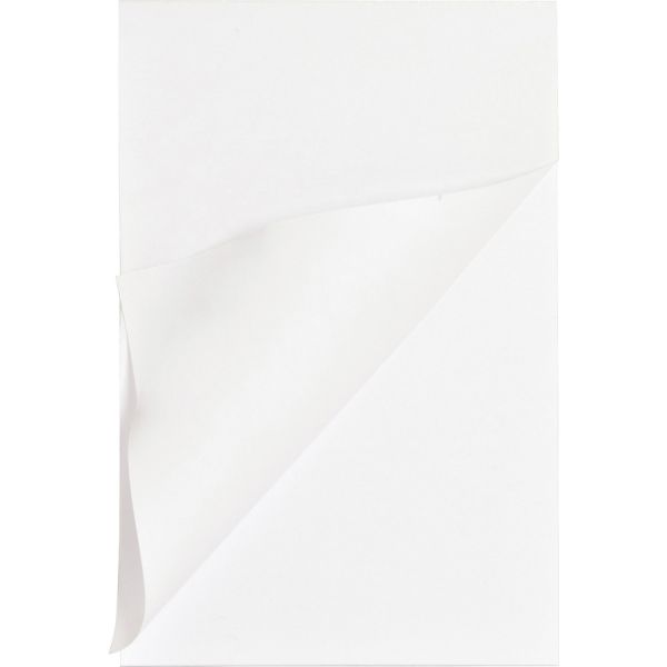 Business Source 65902 Memo Pad 100 Sheet(s) - 16 lb - Unruled - 5" x 8" - 1 Dozen - White