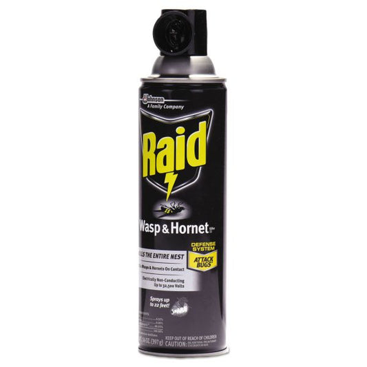 Raid Wasp and Hornet Killer, 14 oz Aerosol Spray