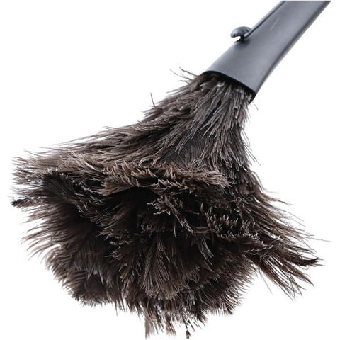 Genuine Joe GJO90218, Retractable Feather Duster, 1 Each, Brown Plastic/ Ostrich Feathers - Brown