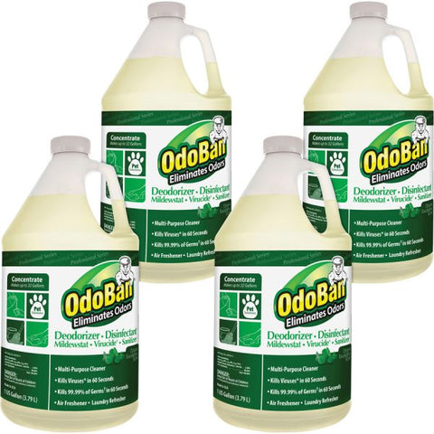 OdoBan Eucalyptus Multi-purpose Deodorizer Disinfectant Concentrate Concentrate Liquid - 128 fl oz (4 quart) - Eucalyptus Scent - 4 / Carton - Green