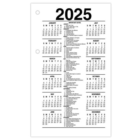 AT-A-GLANCE 2023 RY Daily Loose-Leaf Desk Calendar Refill, Standard, 3 1/2" x 6"