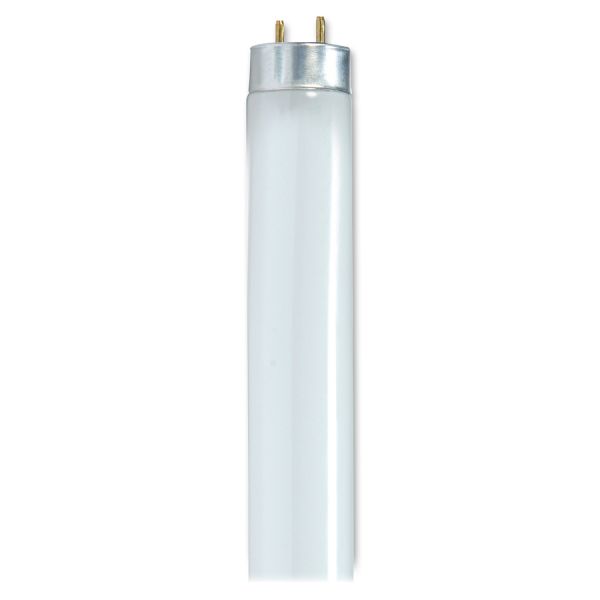 Satco 32-watt 48" T8 Fluorescent Bulbs 32 W - 120 V AC - Cool White Base24000 Hour - 85 CRI - 6/Carton