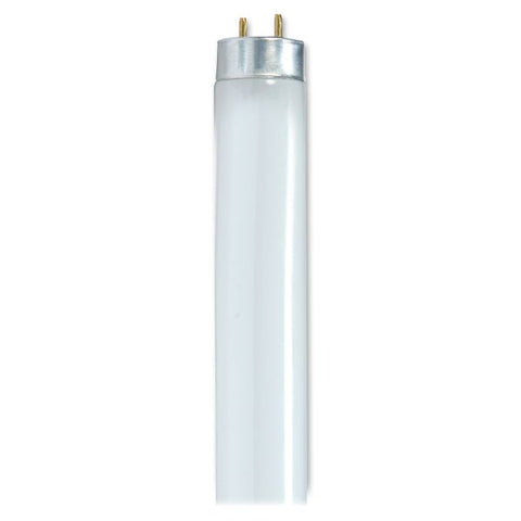 Satco 32-watt 48" T8 Fluorescent Bulbs 32 W - 120 V AC - Cool White Base24000 Hour - 85 CRI - 6/Carton