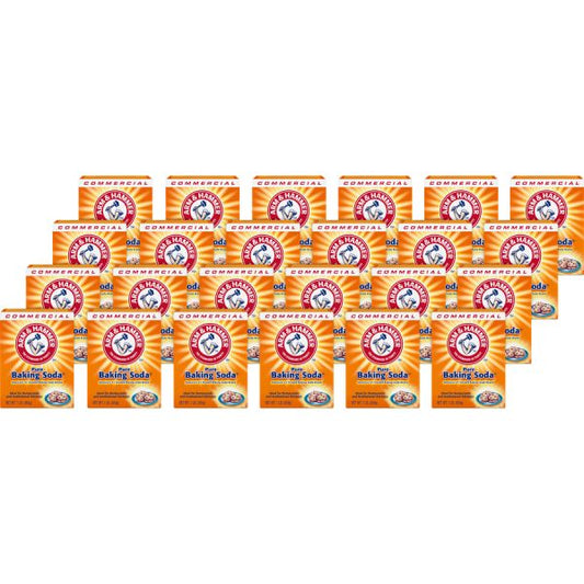 Arm & Hammer Pure Baking Soda 16 oz (1 lb) - 24 / Carton - White