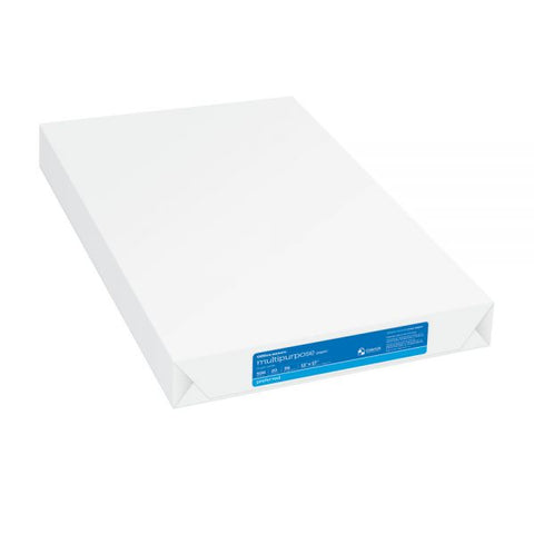 Multi-Use Print & Copy Paper, Ledger Size (11" x 17"), 96 (U.S.) Brightness, 20 Lb, White, Ream Of 500 Sheets