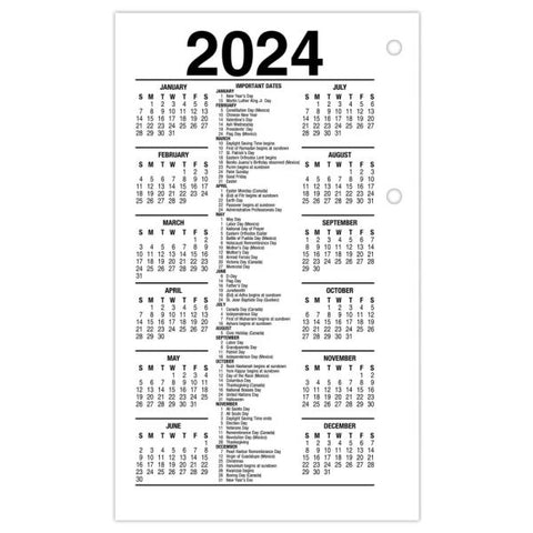 AT-A-GLANCE 2023 RY Daily Loose-Leaf Desk Calendar Refill, Standard, 3 1/2" x 6"