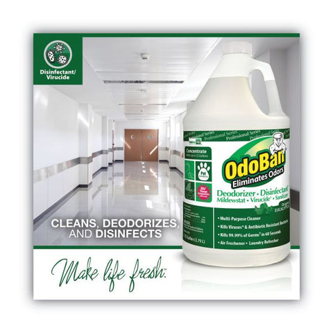 OdoBan Concentrated Odor Eliminator, Eucalyptus, 1gal Bottle, 4/Carton