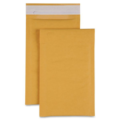 Sparco Size 0 Bubble Cushioned Mailers Bubble - #0 (6" x 10") - Self-sealing - Kraft - 200 / Carton - Kraft