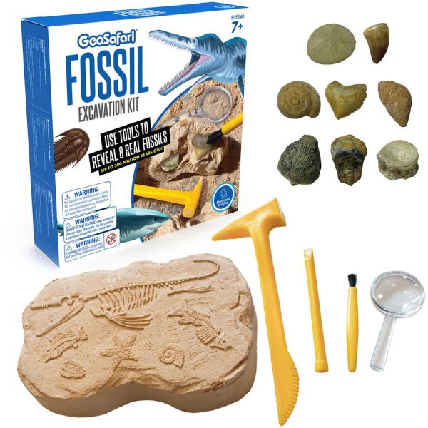 GeoSafari Fossil Excavation Kit Theme/Subject: Fun - Skill Learning: Paleontology, STEM, Fossil - 7-12 Year - 1 Each