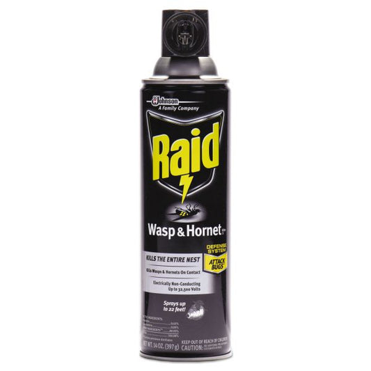 Raid Wasp and Hornet Killer, 14 oz Aerosol Spray