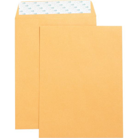 Business Source 9" x 12" Catalog Envelopes #10 1/2 (9" x 12") - 28 lb Paper Weight - Peel & Seal - Kraft - Brown - 250/ Box