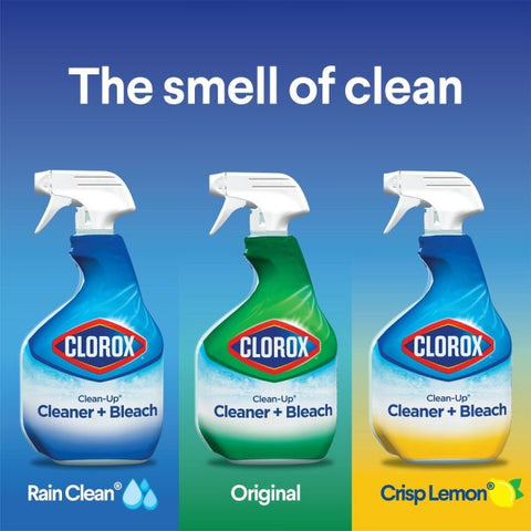 Clorox Clean-Up All Purpose Cleaner with Bleach Spray - 32 fl oz (1 quart) - Rain Clean Scent - 9 / Carton - Multi